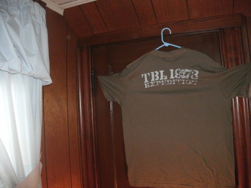 Timberland shirt light brown - timberland, t-shirt